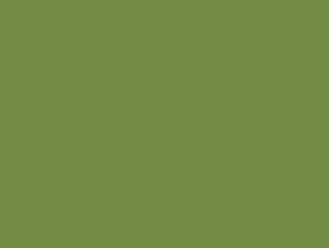 Placemats papier 30x40cm uni Leaf Green