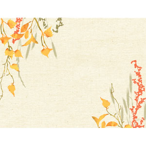Placemats papier 30x40cm Fall Beauty