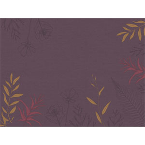 Sets de table en papier 30x40cm Soft Nature