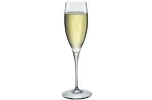 Champagne glass 26cl Premium