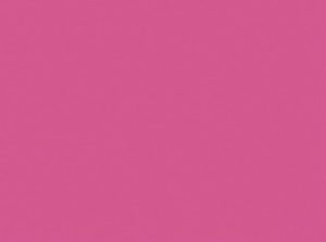 Placemats papier 30x40cm uni Fuchsia