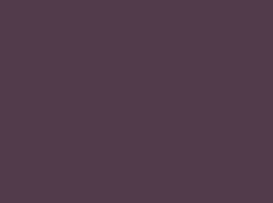 Placemats paper 30x40cm uni Plum