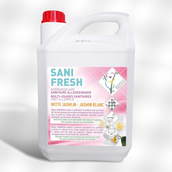 Sanitary cleaner "Sanifesh" 5L