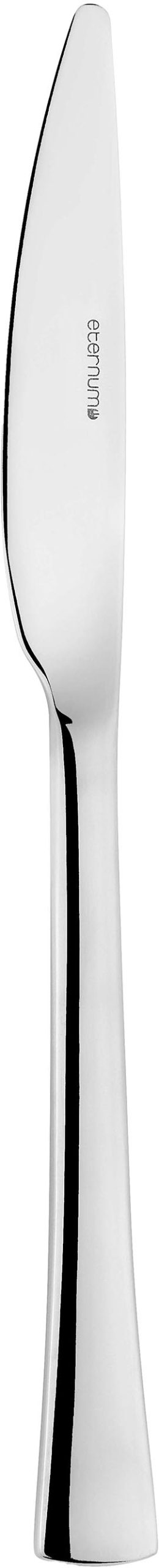 Eternum Curve 18/10 2.5mm couteau de table