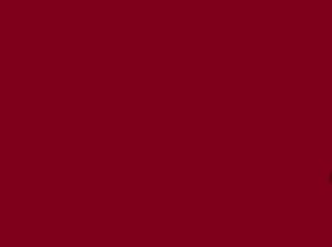 Sets de table Papier 30x40cm uni Bordeaux