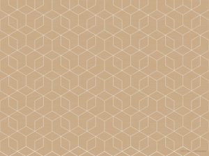 Placemats paper 30x40cm Woven Natural